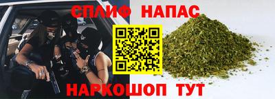 гидра Гай