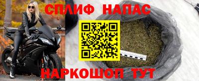 гидра Гай