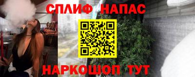 гидра Гай