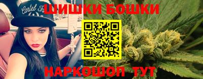 гидра Гай