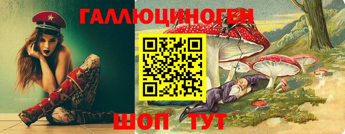 Михайловск  Псилоцибиновые грибы Cubensis  Псилоцибиновые грибы Psilocybine cubensis  Вход с VPN 