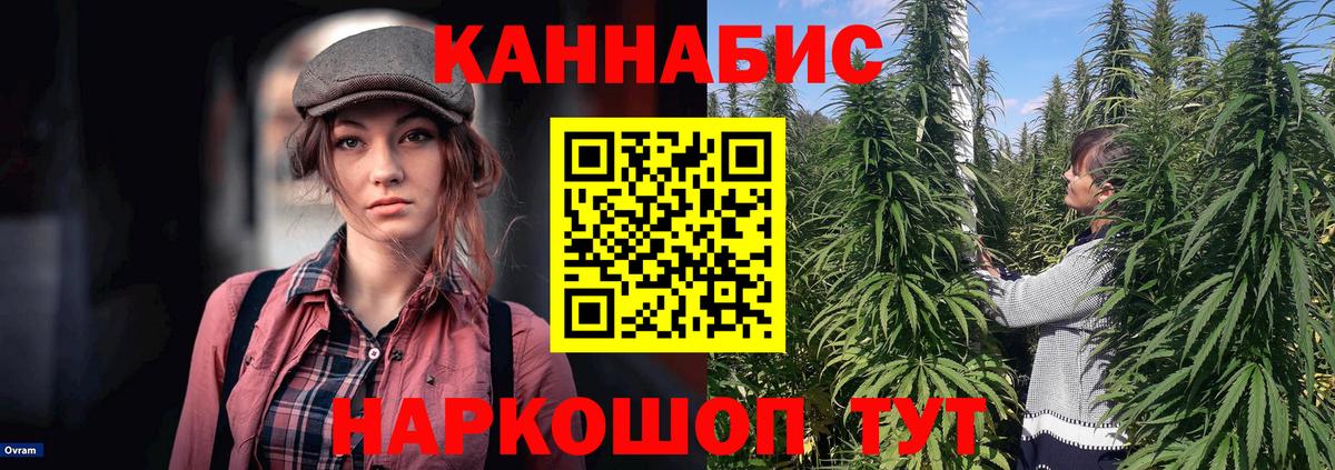 Канабис план  Вход с VPN  Канабис White Widow  Конопля план  Михайловск 